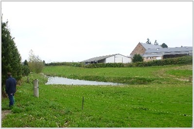 Image8.jpg