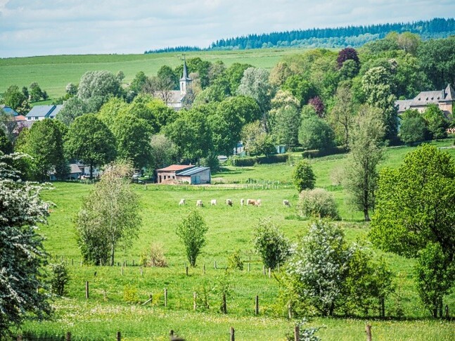 paysage.jpg