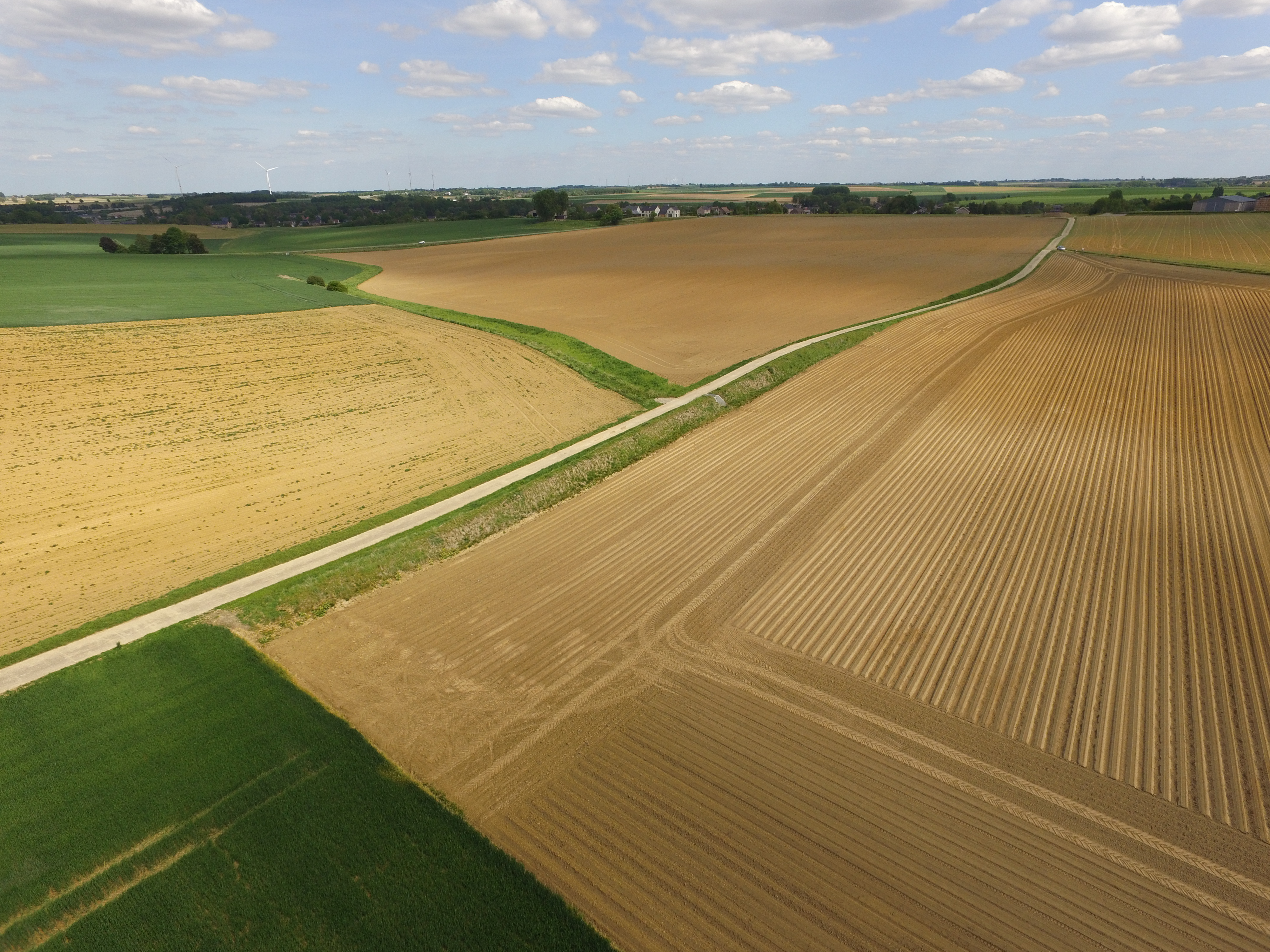 Événement: Webinaire sur la nouvelle obligation BCAE5 - Protection des sols contre l'érosion