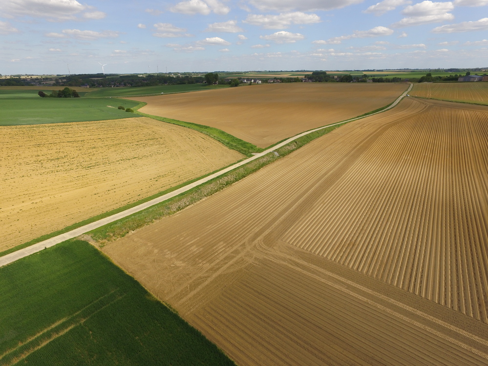 Nouvelle obligation BCAE 5 : Protection des sols contre l’érosion
