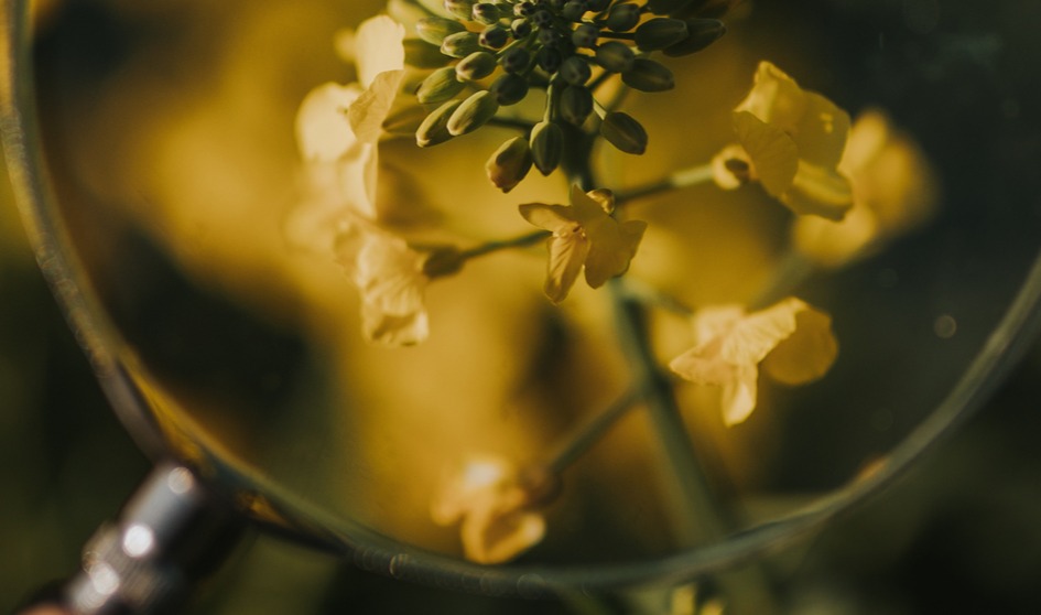 Chiffres 2024 de l'Etat de l'Agriculture