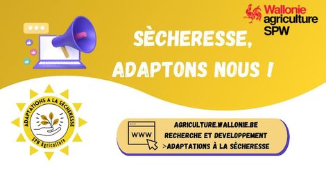 Ill. Le SPW-ARNE propose des pistes d’adaptations à la sécheresse
