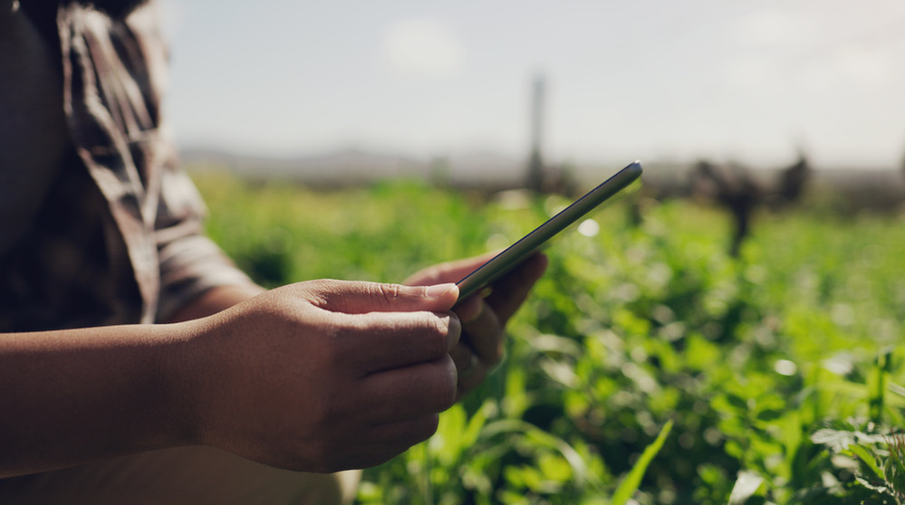 Nouvelle chaîne WhatsApp SPW Agriculture : restez informés en un clin d’œil !