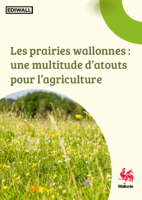 Les prairies wallonnes : une multitude d'atouts pour l'agriculture 