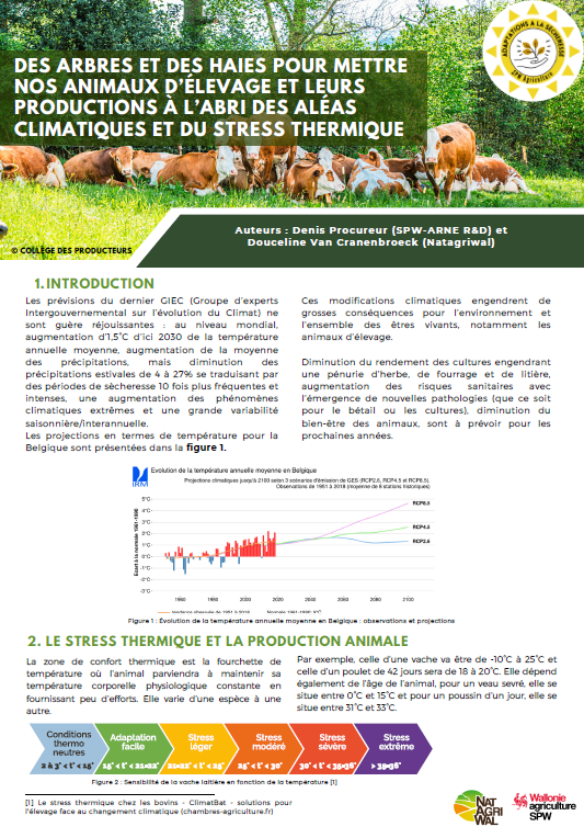 photo article arbre et haies animaux.png