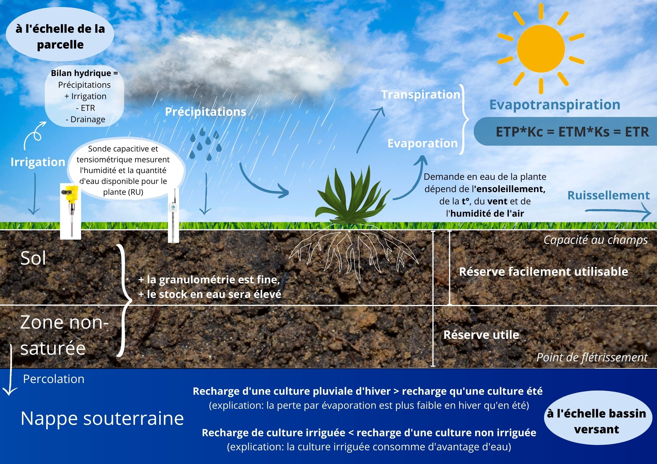 notion irrigation avec sonde.jpg (Nappe - 1)