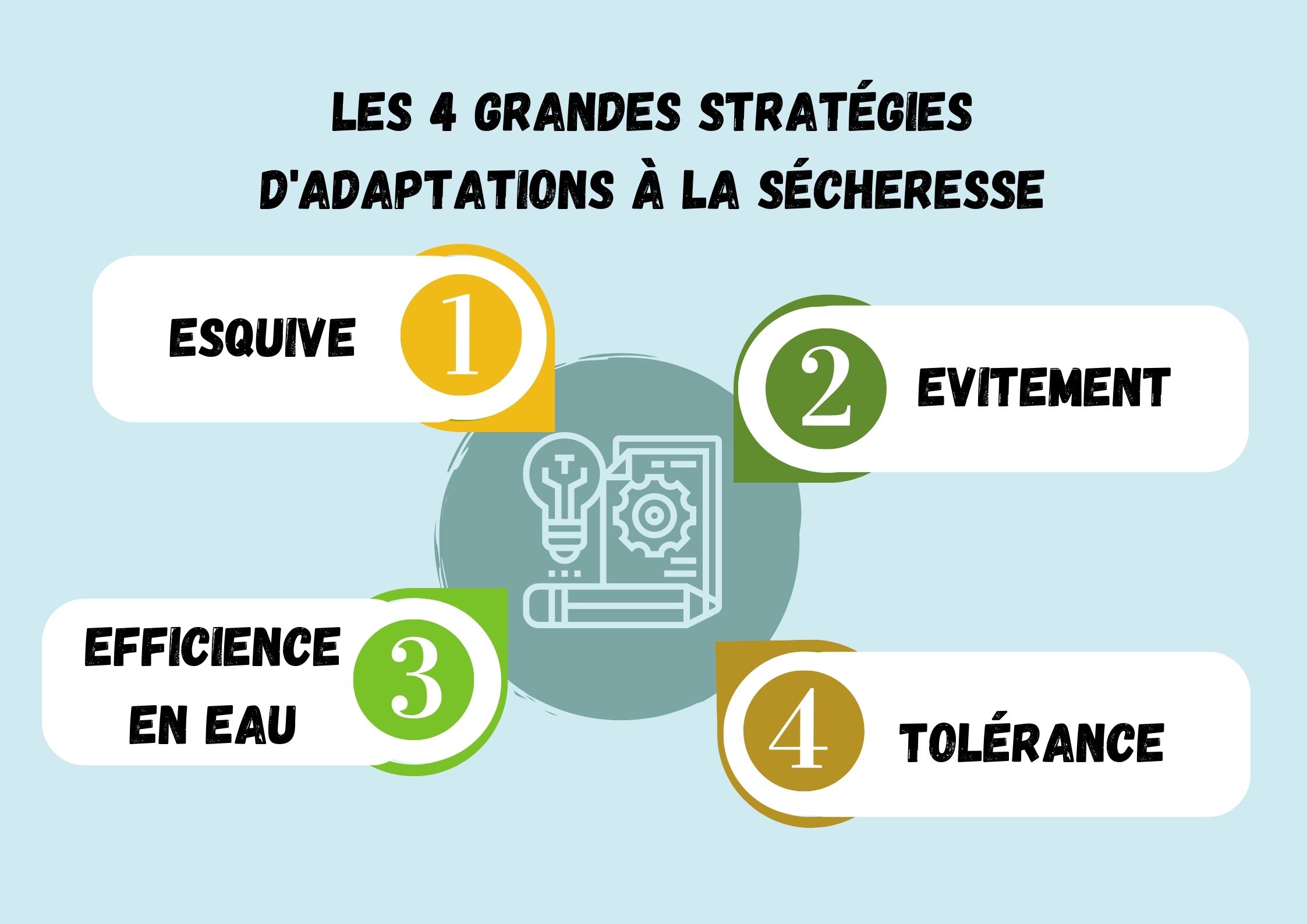 quatre strategies en grande culture.jpg (illustration Sécheresse site - 1)