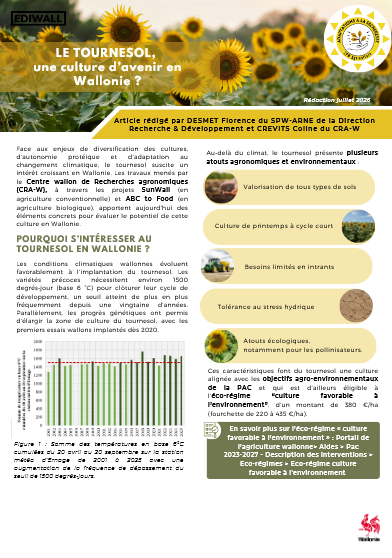 le-tournesol.png