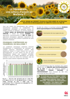 Le TOURNESOL, une culture d'avenir en Wallonie ? 