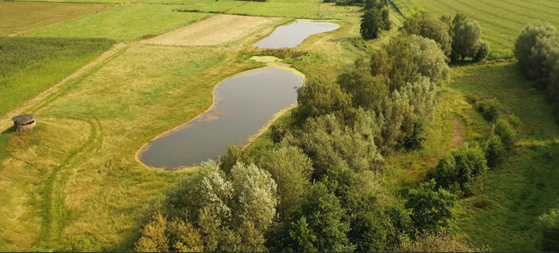 Photo_1Les_Pas_Du_Geant_Vue_Aerienne.png