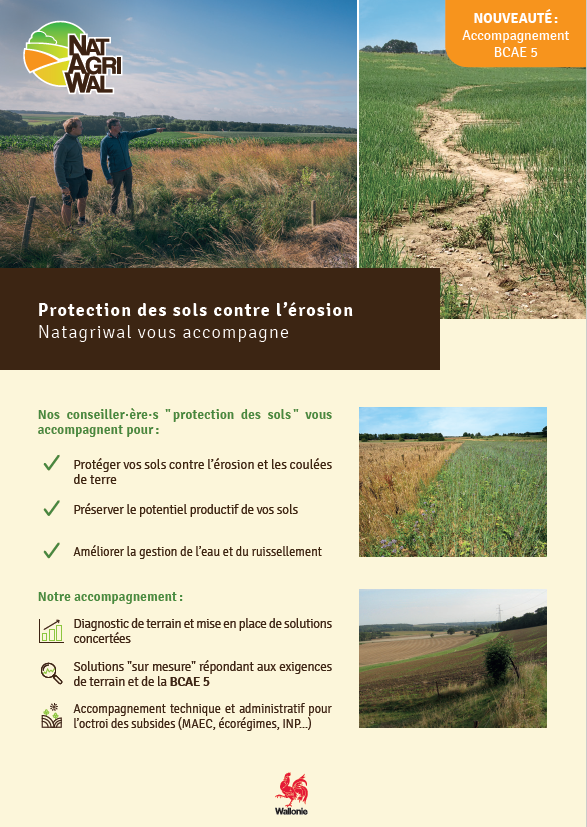 flyer Natagriwal.png