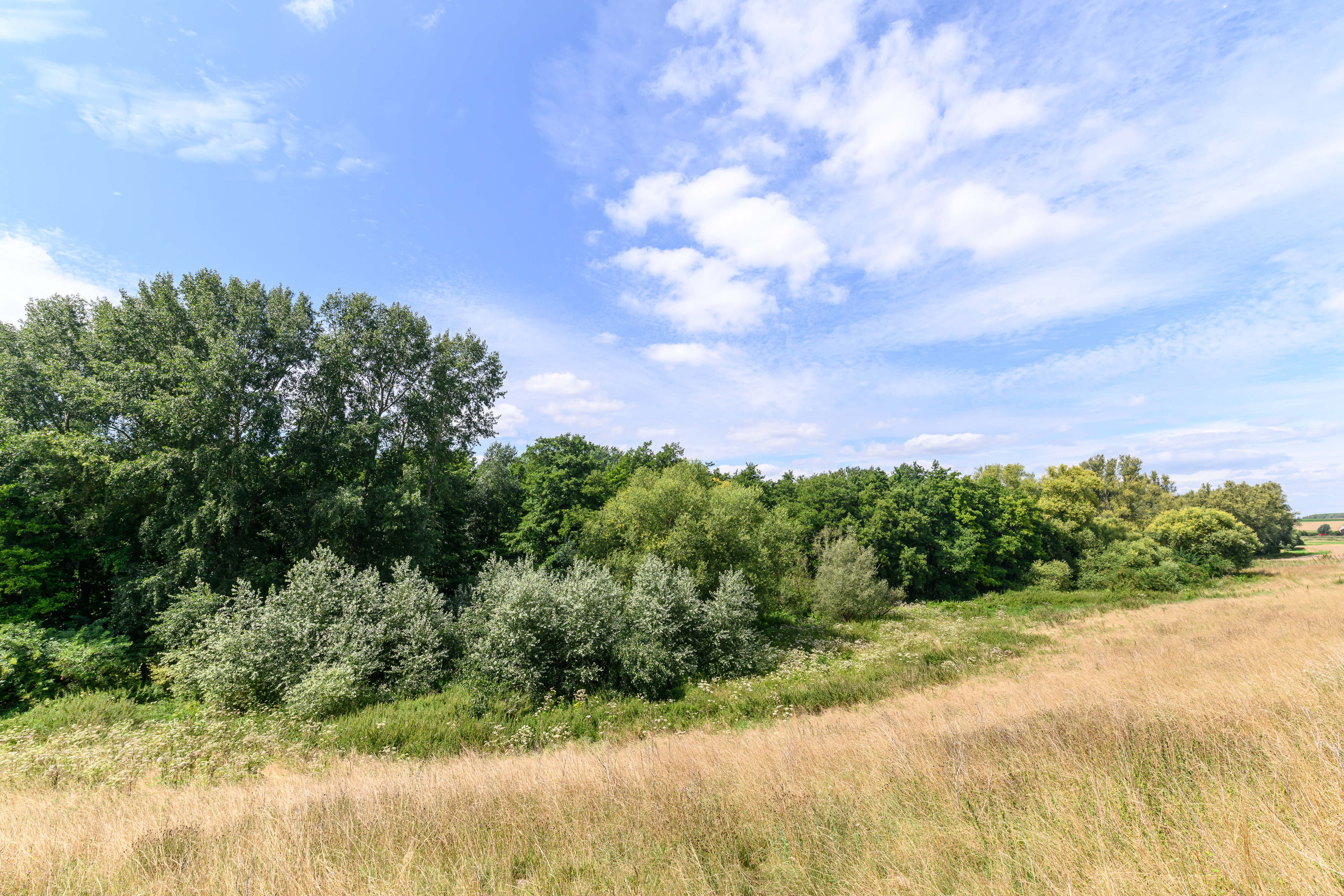 Vallée de la Trouille © Christophe Danaux 20250804132450.jpg