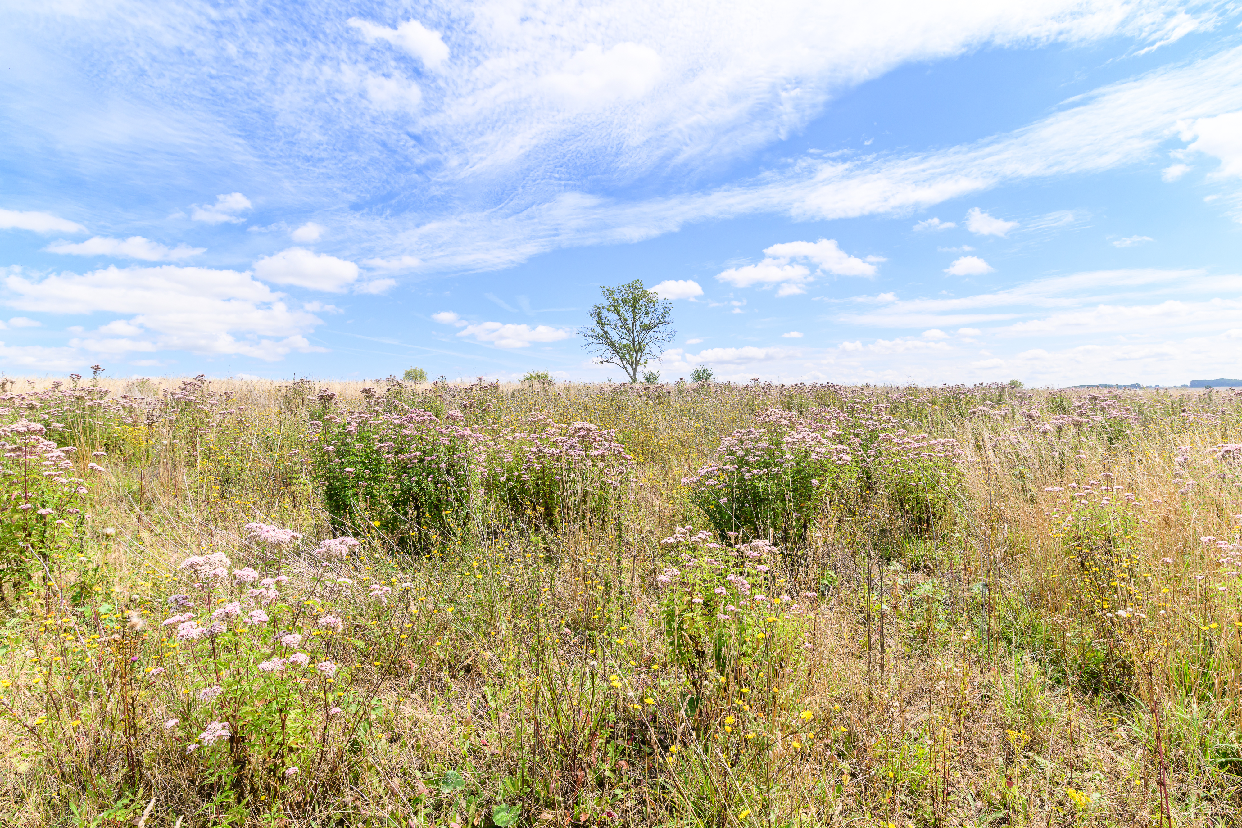 Vallée de la Trouille © Christophe Danaux 20250804133628.jpg