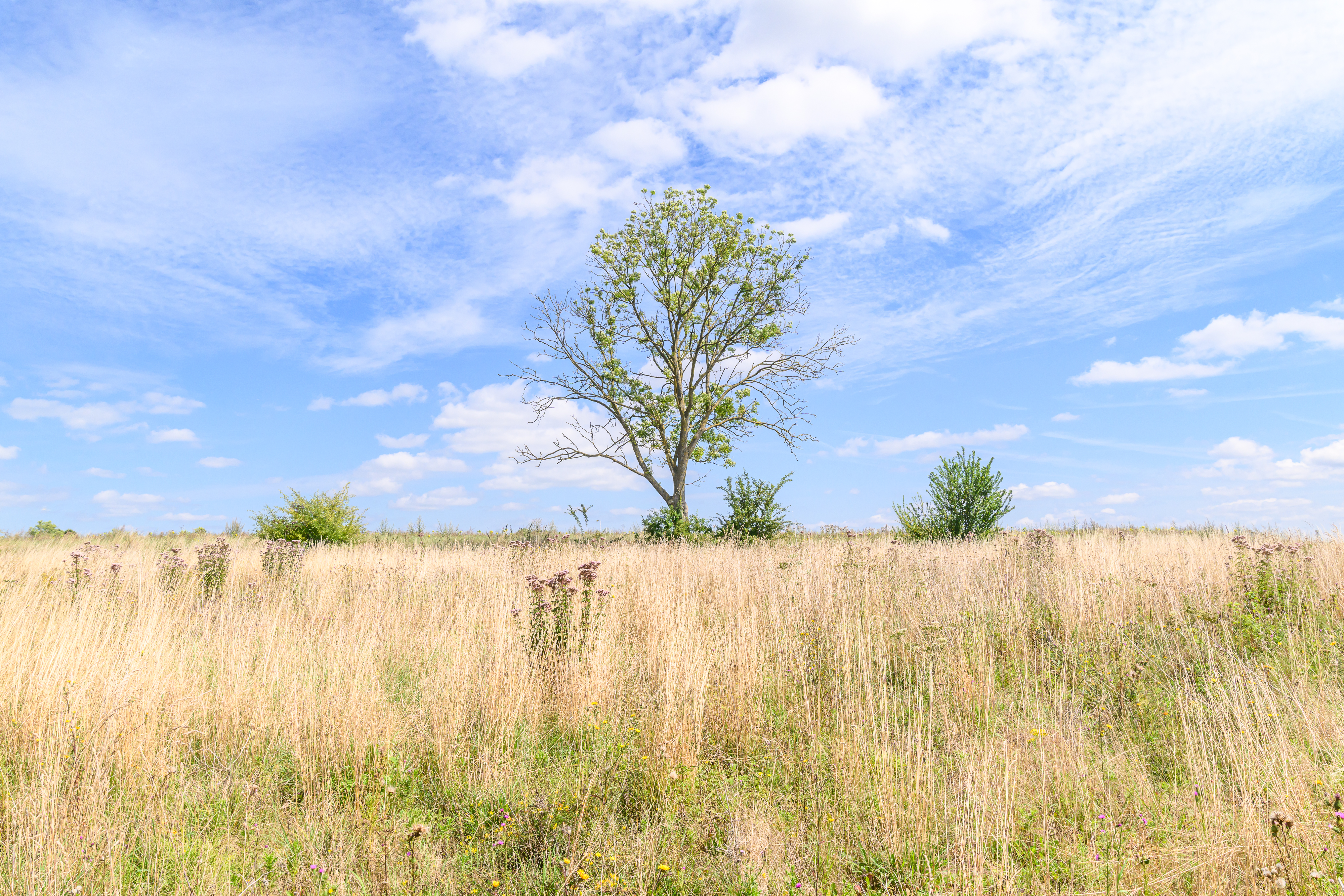 Vallée de la Trouille © Christophe Danaux 20250804133940.jpg